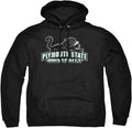 LOGOVISION Collegiate Distressed Primary Logo Pullover Hoodie PLYMOUTH