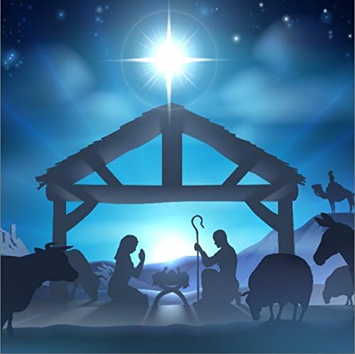 10x10ft Birth of Jesus Backdrop for Christmas Nativity Scene