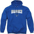 LOGOVISION Collegiate Distressed Primary Logo Pullover Hoodie MARY'S
