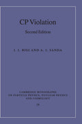 CP Violation: Cambridge Monograph - Clear Guide to Particle Asymmetry