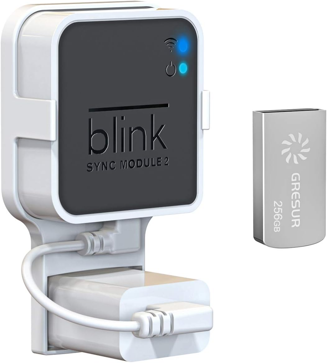 256GB USB Flash Drive for Local Video Storage - Gresur