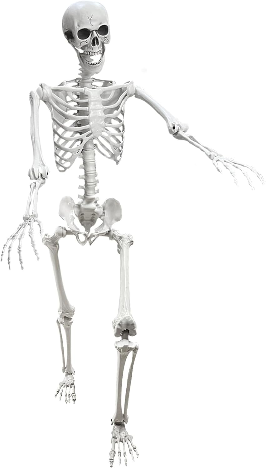 Lodou 5.4Ft Posable Life Size Human Skeleton for Halloween Fun