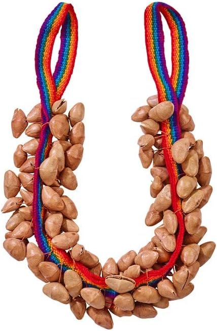 Handmade Seed Shaker Set for Captivating Rhythms and Sound