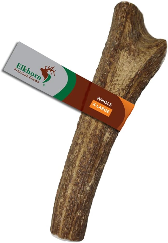 X Large Whole Premium Grade Elk Antler for Dogs - 50-90 lb Chew