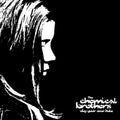 Dig Your Own Hole Vinyl - Original Sleeve Repressing