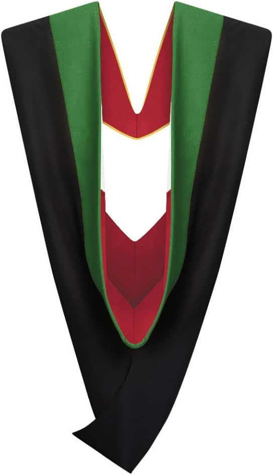 Cappe Diem Master Graduation Deluxe Hood for Various Degrees