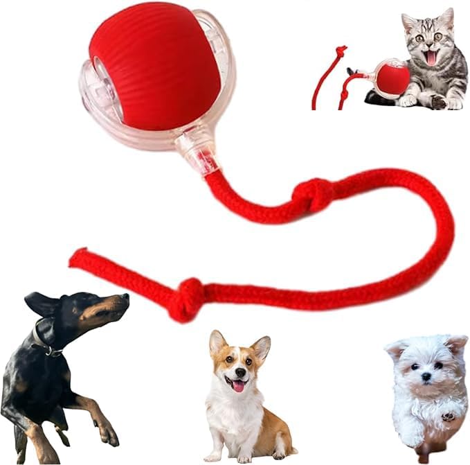 Electric Rolling Dog Ball - Interactive Fun for Pets!