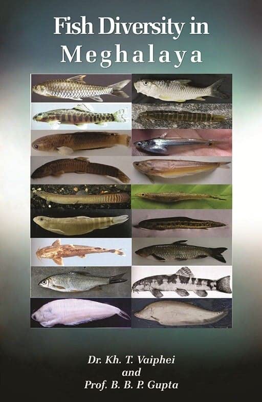 Fish Diversity in Meghalaya: A Comprehensive Study by Experts