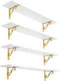 DINZI LVJ Long Wall Shelves Set of 4 for Stylish Home Decor