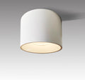 LED Dimmable Ceiling Spotlight 4.72in Cylinder Down Light - High CRI