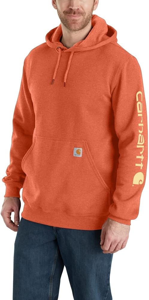 Carhartt mens Loose Fit Midweight Logo Sleeve Graphic Sweatshirt