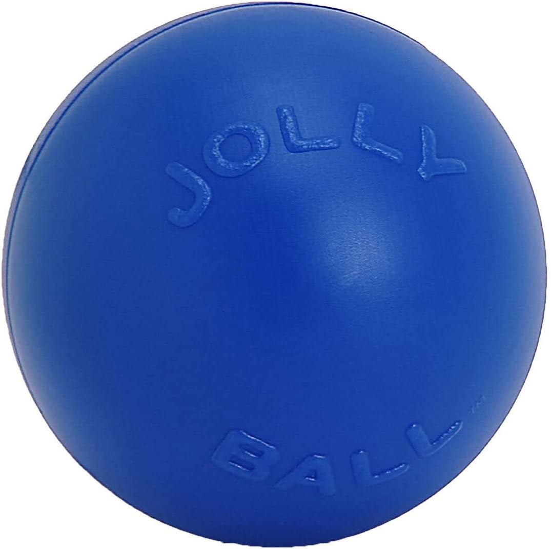 Jolly Pets Push-n-Play Ball Dog Toy for All Breed Sizes, 14 in