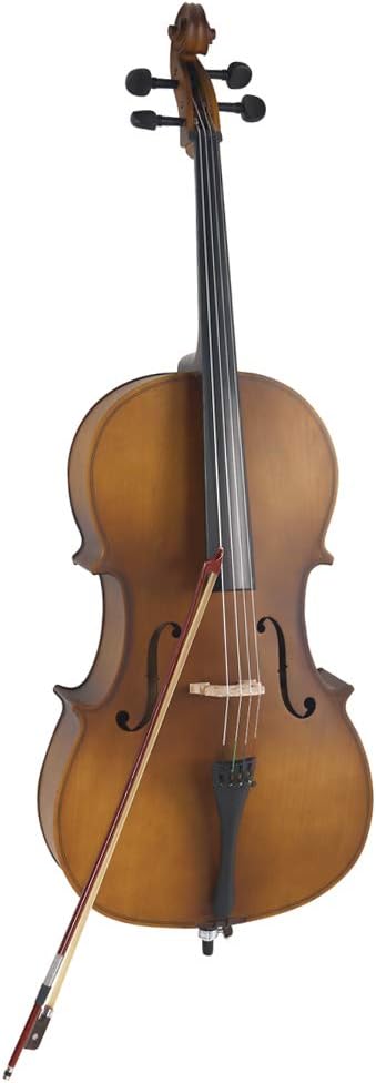 4/4 Cello Case Set for Adult Learners with Bow and Rosin