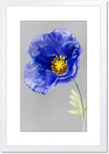 14x22 Picture Frame White - Simple Wall Display for Posters
