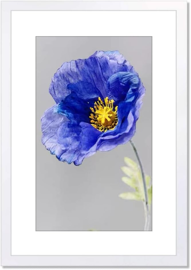 VNVNK 14x22 Frame White for Home Wall Decor and Pictures