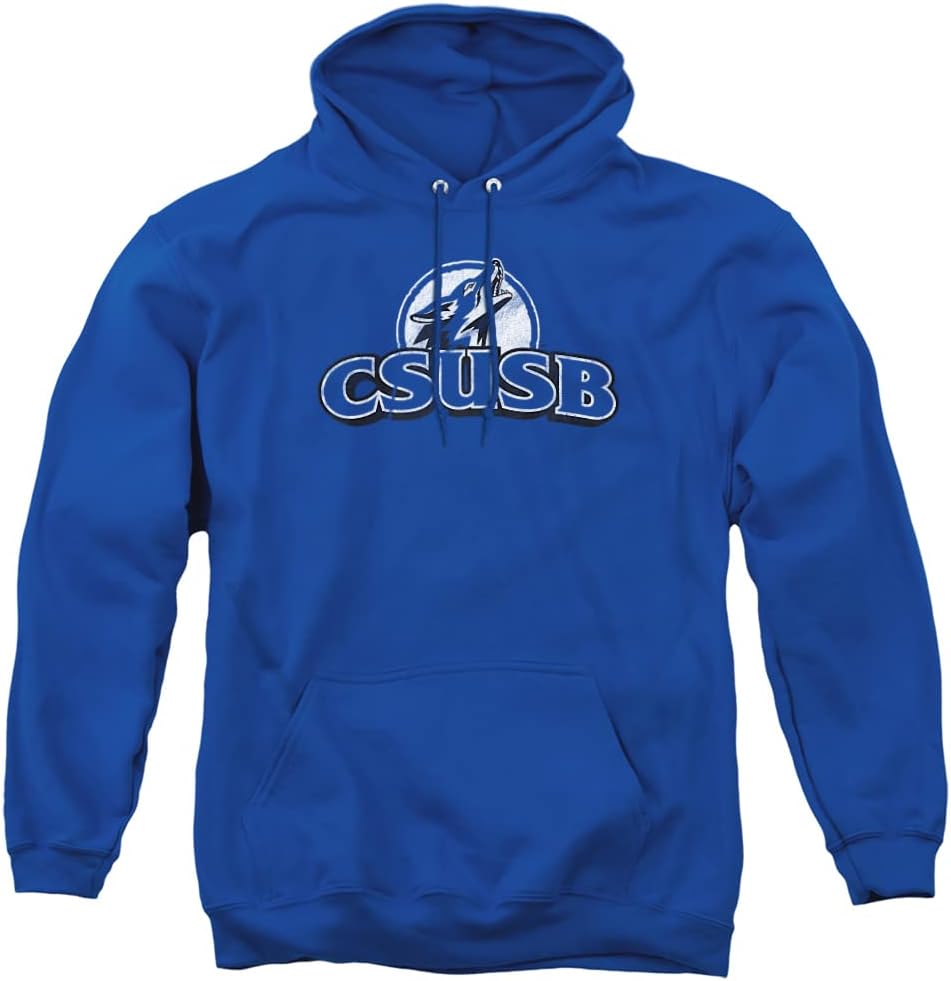 Official Collegiate Distressed Logo Hoodie for Everyday Wear