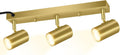 3 Light Track Lighting Kit Gold 3 Way Modern Plug in Ceiling Spotlight