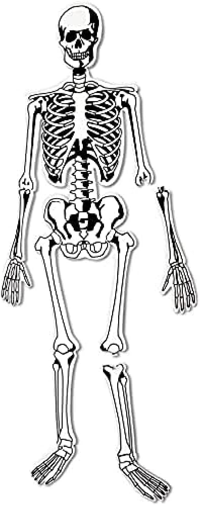 Learning Resources Skeleton Floor Puzzle for Young Anatomists