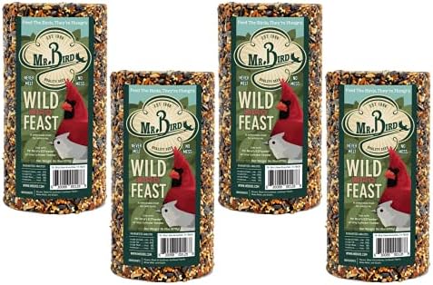Mr. Bird Wild Bird Feast Cylinder 28 oz - Perfect for Backyard Birds