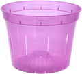 rePotme 10 in Slotted Clear Pots 3 Pack - Breathable Drainage