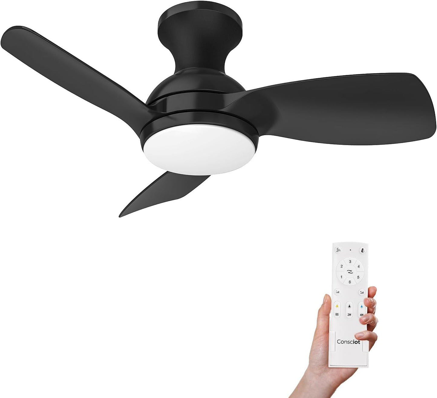 Consciot 30 Inch Ceiling Fan With Lights Remote Control - Modern Style