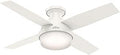 Hunter Dempsey Low Profile Indoor Ceiling Fan with LED Light - Quiet