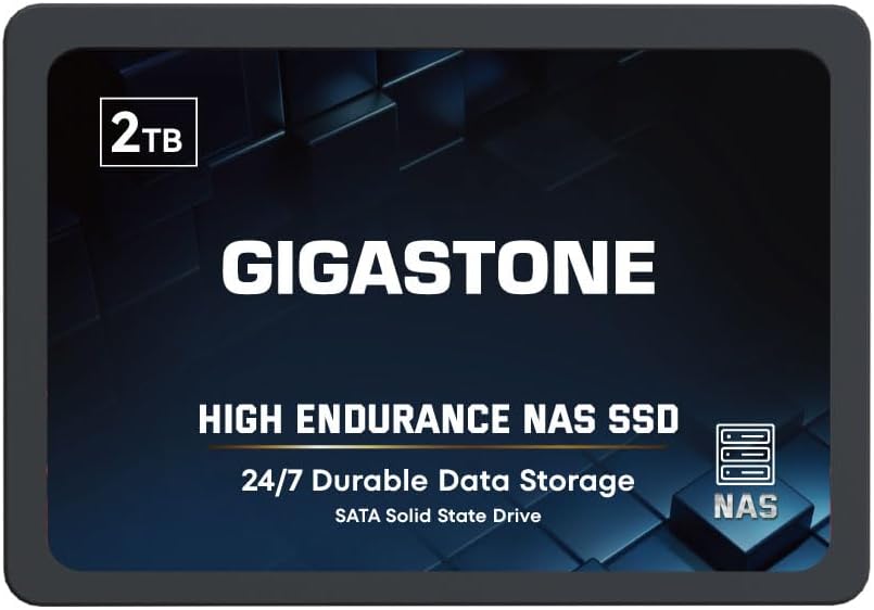 Gigastone 2TB NAS SSD Drive for High Endurance Data Storage