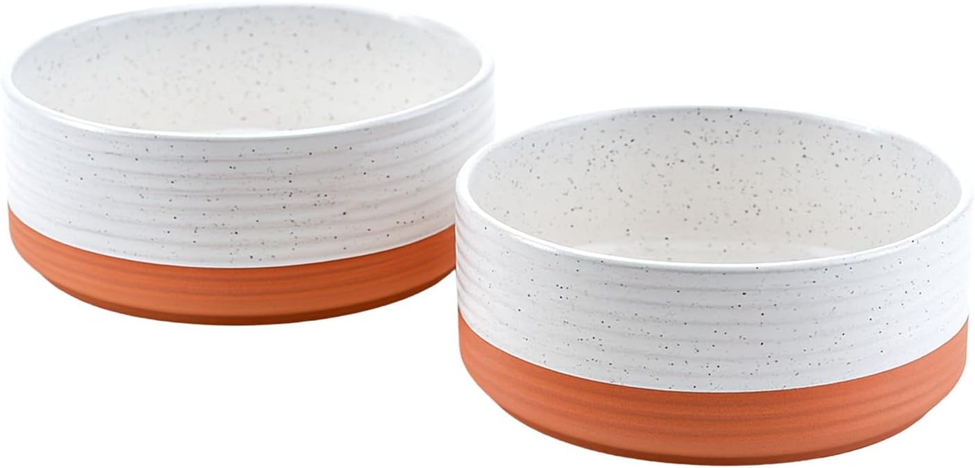 SPUNKYJUNKY Ceramic Dog Bowls 2 Pack for Large Breeds