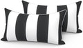 LVTXIII Set of 2 Outdoor Lumbar Pillows 12x20 in - Fade Resistant