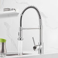 Spring Kitchen Sink Faucet with Pull Down Sprayer - Compact Polished