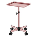 Salon Tray Cart Rolling Tray Spa Tray Height Adjustable - Smooth