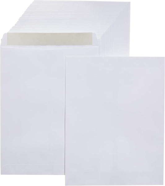 Catalog Mailing Envelopes, Peel and Seal, 10x13 Inch, 250-Pack