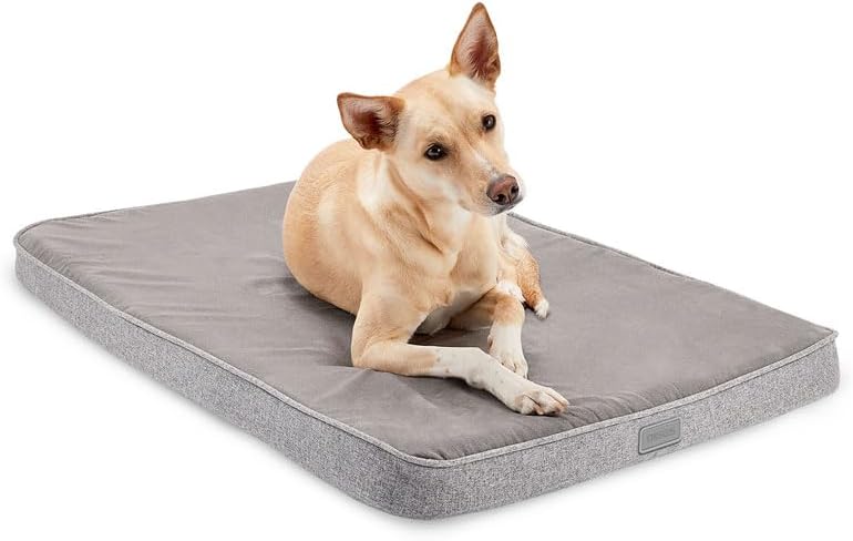 Diggs Snooz Memory Foam Dog Bed - Premium Orthopedic Pet Bed
