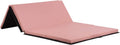 Gymnastics Tumbling Mat 4x6 Foldable PU Leather - Portable Practice