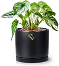 Aveyas 8 inch Ceramic Plant Pot with Drainage Hole and Saucer