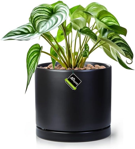 Aveyas 8 inch Ceramic Plant Pot with Drainage Hole and Saucer