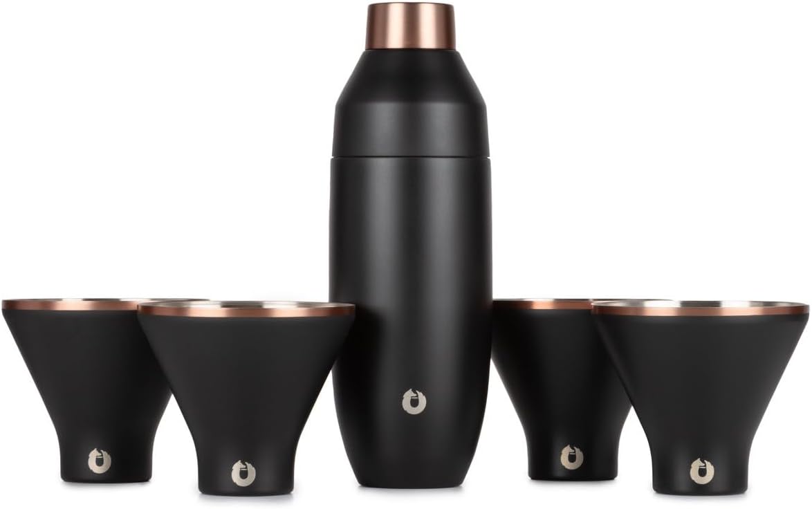 Premium Vacuum Insulated Cocktail Shaker & Martini Glass Set