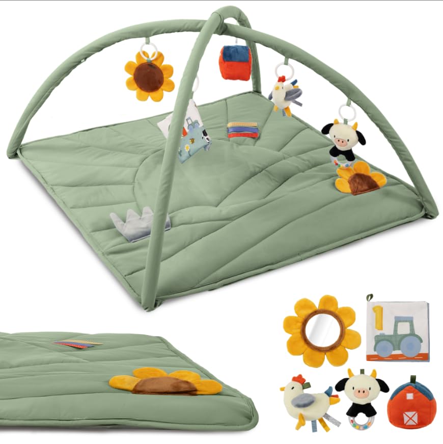Beautiful Baby Play Gym and Tummy Time Mat for Your Baby