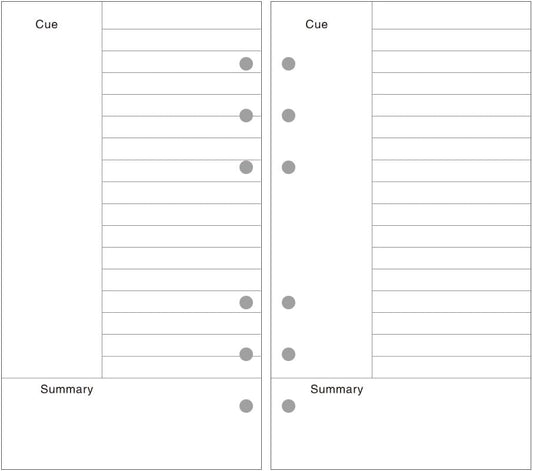 EvZ A6 6-Hole Cornell Paper Refills, 80 Sheets