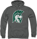 LOGOVISION Collegiate Distressed Primary Logo Pullover Hoodie ILLINOIS