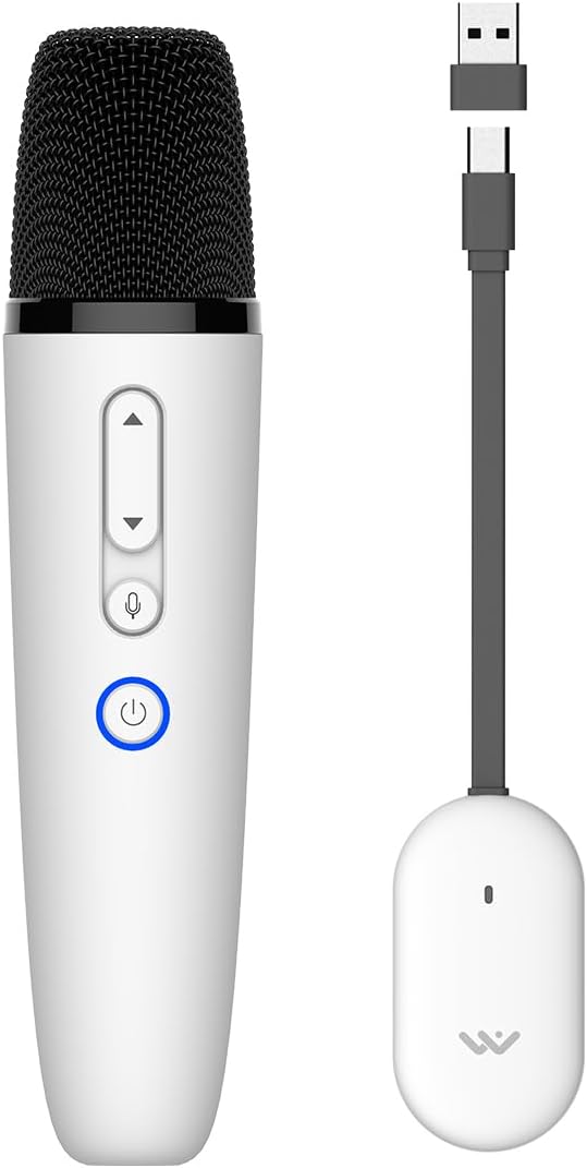 Tesla Karaoke Microphone for Model Y/3/S/X - Wireless Fun