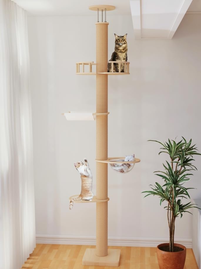 Floor to Ceiling Cat Trees for Kittens and Large Cats