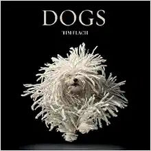Dogs: A Captivating Exploration of Canine Companionship