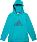 adidas Youth Glitter Logo Sport Pullover Hoodie (Aqua Large)