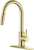 FORIOUS Gold Kitchen Faucet with Pull Down Sprayer - Brushed Champagne