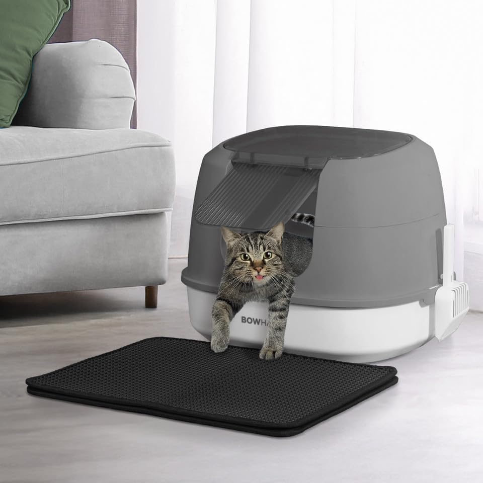 Detachable Cat Litter Box with Lid for All Cat Sizes
