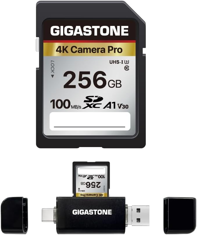 GIGASTONE 256GB SD Card with USB Type C Reader for 4K Cameras