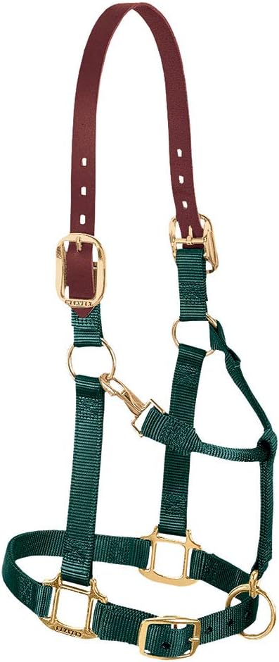 Breakaway Horse Halter with Supple Leather Crown for Horses