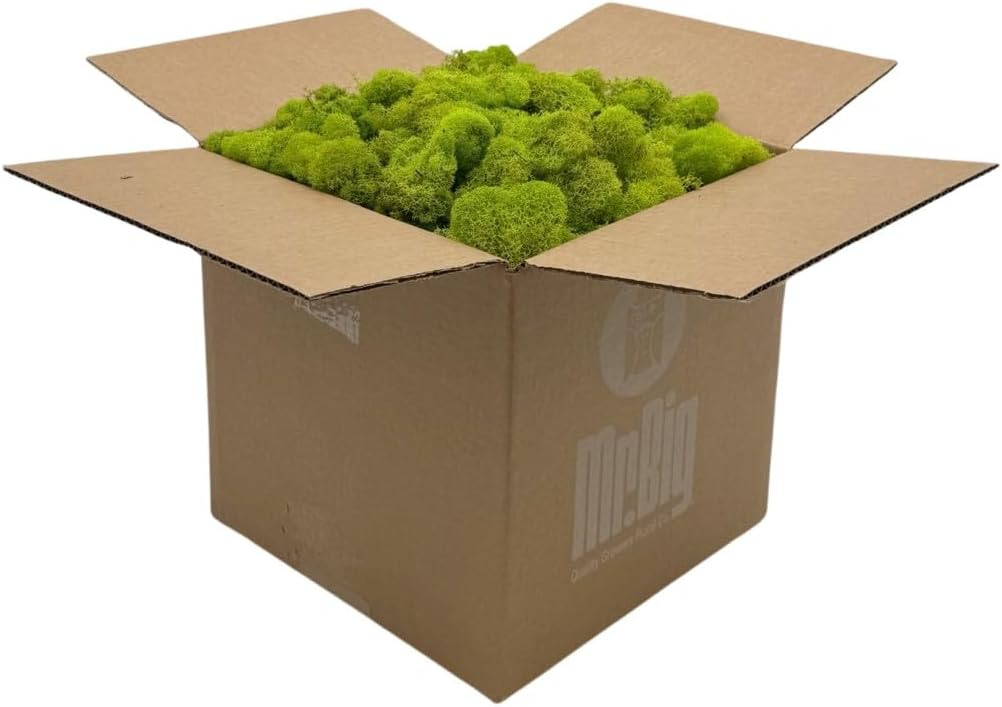 Preserved Reindeer Moss for Crafts and Home Decor Projects