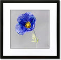 24x24 Picture Frame Black - Slim Modern Wall Frame for Posters